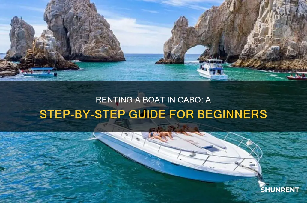 how to rent a boat in cabo