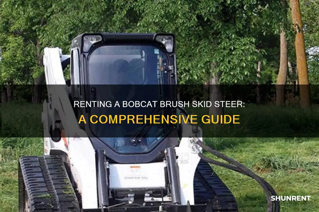 how to rent a bobcat brush skid steer