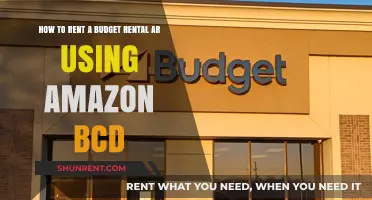 Smart Tips to Rent a Budget Car Using Amazon BCD