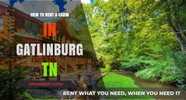 Your Ultimate Guide to Renting a Cabin in Gatlinburg, TN