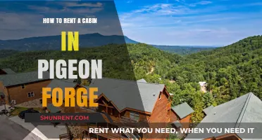 Renting a Pigeon Forge Cabin: Tips for a Perfect Smoky Mountain Getaway