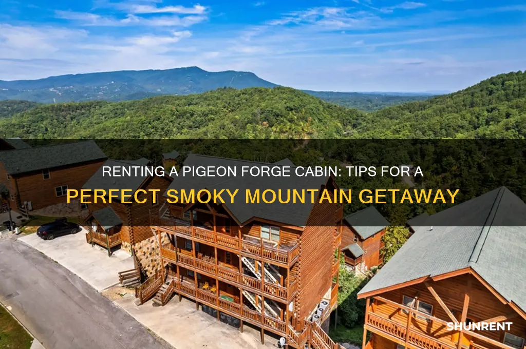 how to rent a cabin in pigeon forge