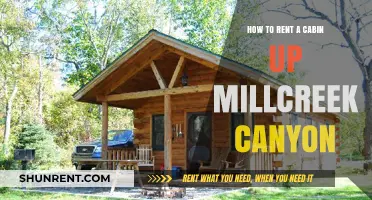 Renting a Millcreek Canyon Cabin: Your Ultimate Guide to a Mountain Retreat
