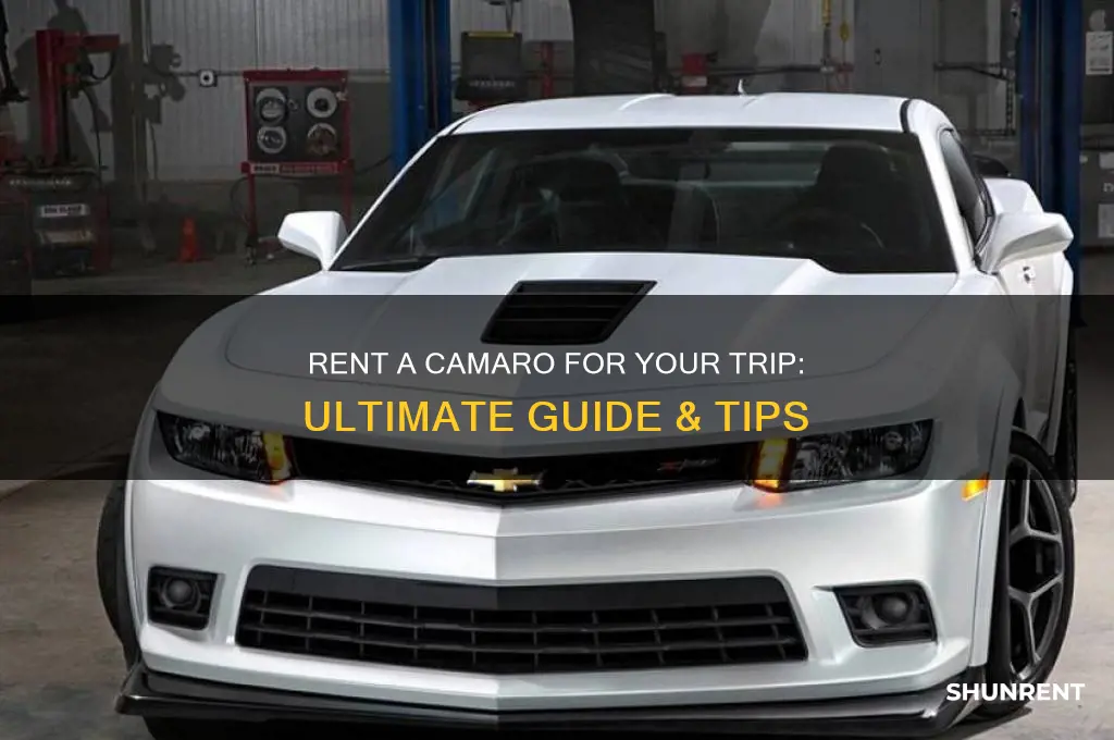 how to rent a camaro for a trip
