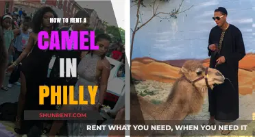 Renting a Camel in Philly: Your Ultimate Guide to Unique Adventures