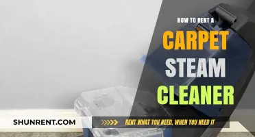 Renting a Carpet Steam Cleaner: A Step-by-Step Guide for Beginners