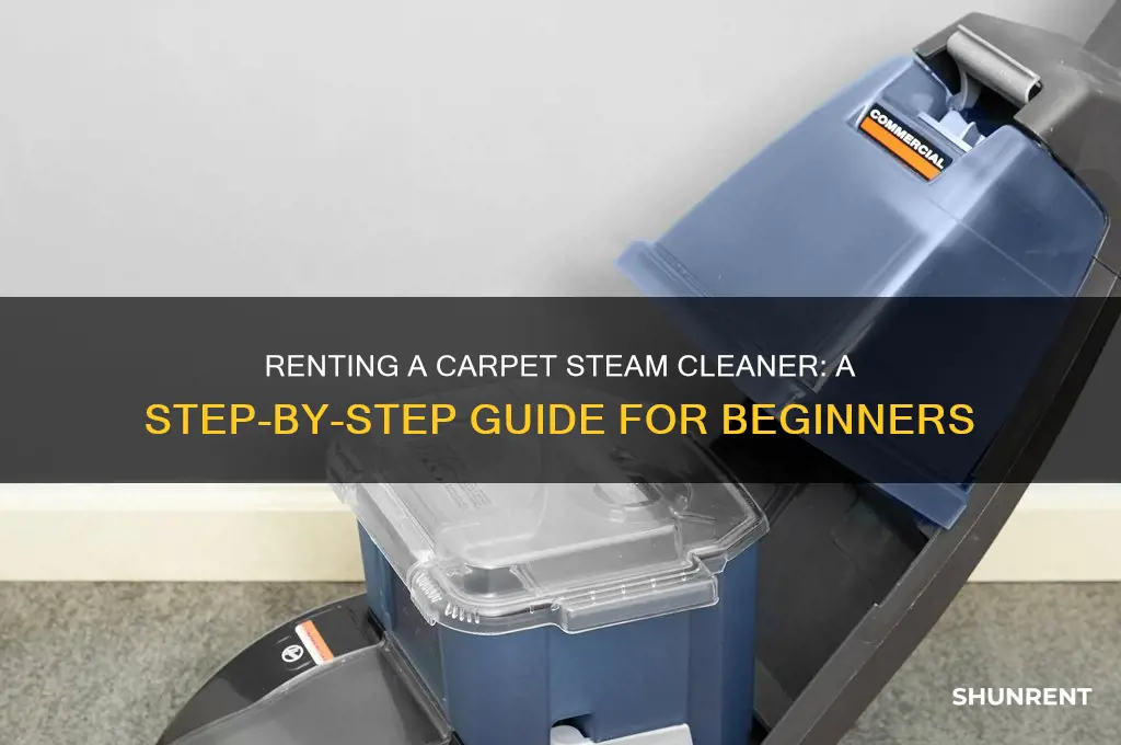 how to rent a carpet steam cleaner