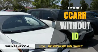Renting a Car Without ID: Tips and Alternatives for Travelers