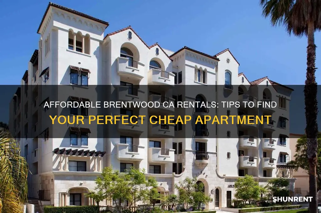 how to rent a cheap department in brentwood ca