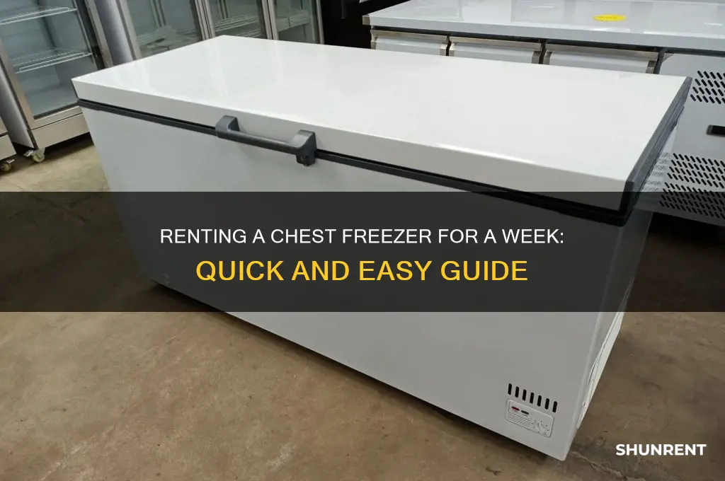 how to rent a chest freezer for a week