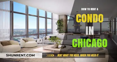 Your Ultimate Guide to Renting a Condo in Chicago