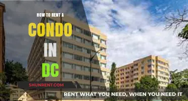 Your Ultimate Guide to Renting a Condo in Washington, DC