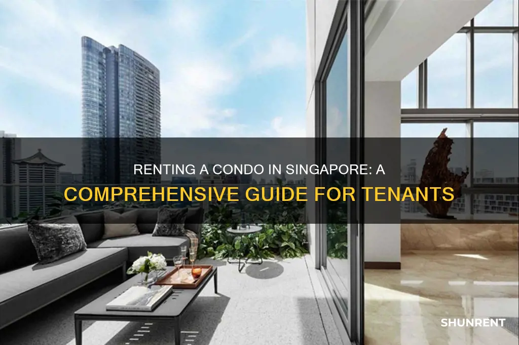 how to rent a condo in singapore