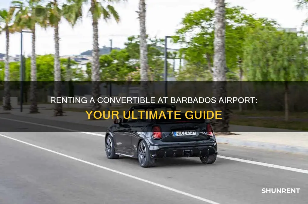 how to rent a convertible in barbados airport