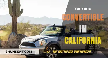 Renting a Convertible in California: Tips for a Sunny Adventure