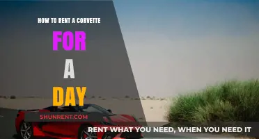 Rent a Corvette for a Day: Ultimate Guide to Luxury Driving