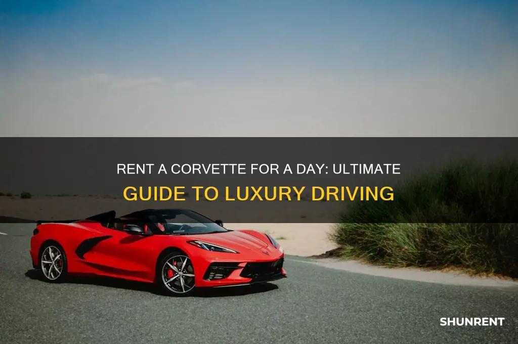 how to rent a corvette for a day