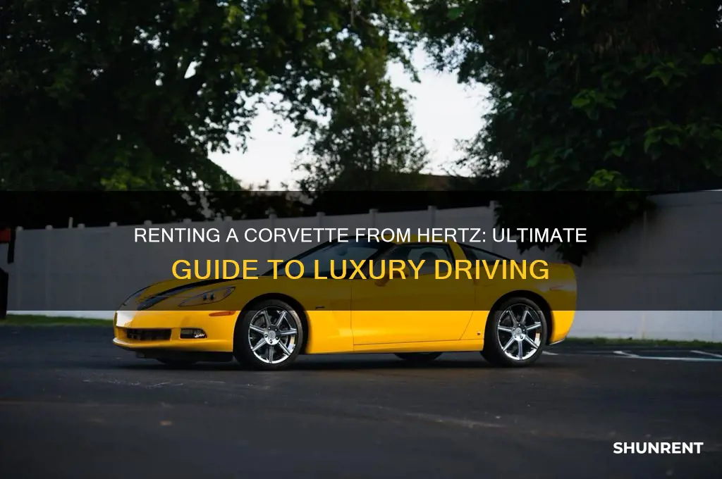 how to rent a corvette from hertz