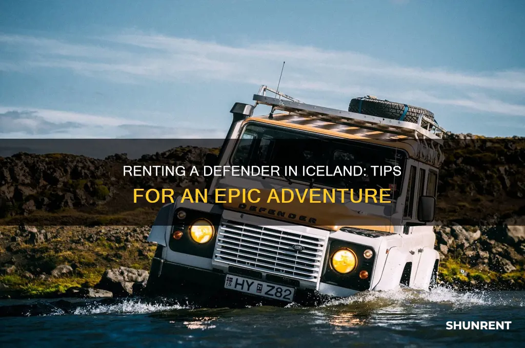 how to rent a defender in ice land
