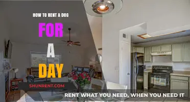 Rent a Dog for a Day: Your Ultimate Guide to Canine Companionship
