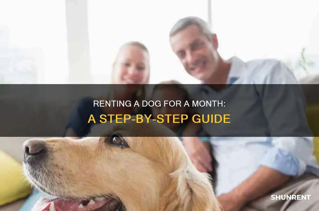 how to rent a dog for a month