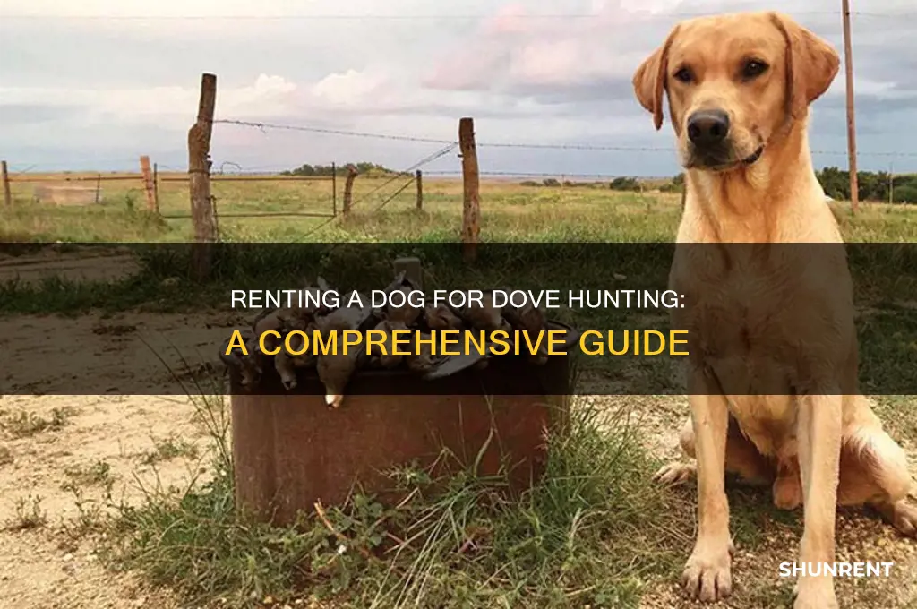 how to rent a dog for doves