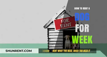 Rent a Dog for a Week: Your Ultimate Guide to Canine Companionship