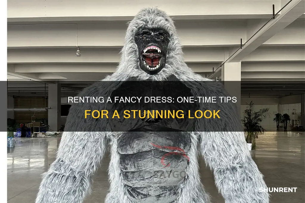how to rent a fancy dress one time