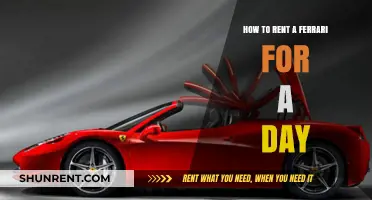 Rent a Ferrari for a Day: Ultimate Guide to Luxury Driving