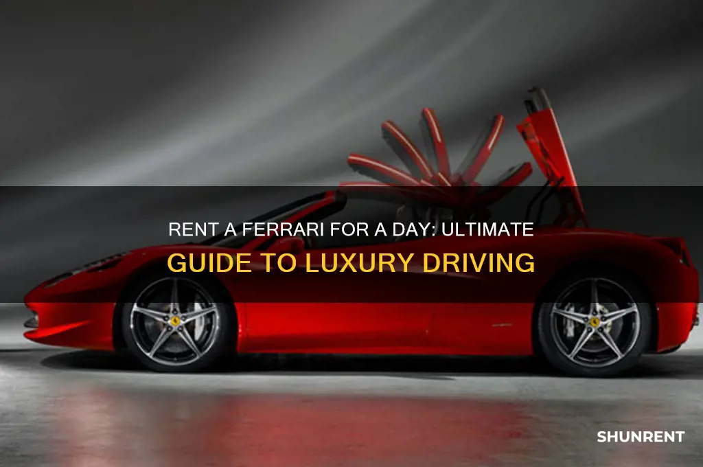 how to rent a ferrari for a day