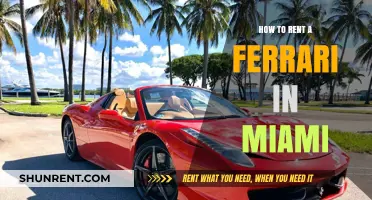 Rent a Ferrari in Miami: Ultimate Guide to Luxury Driving