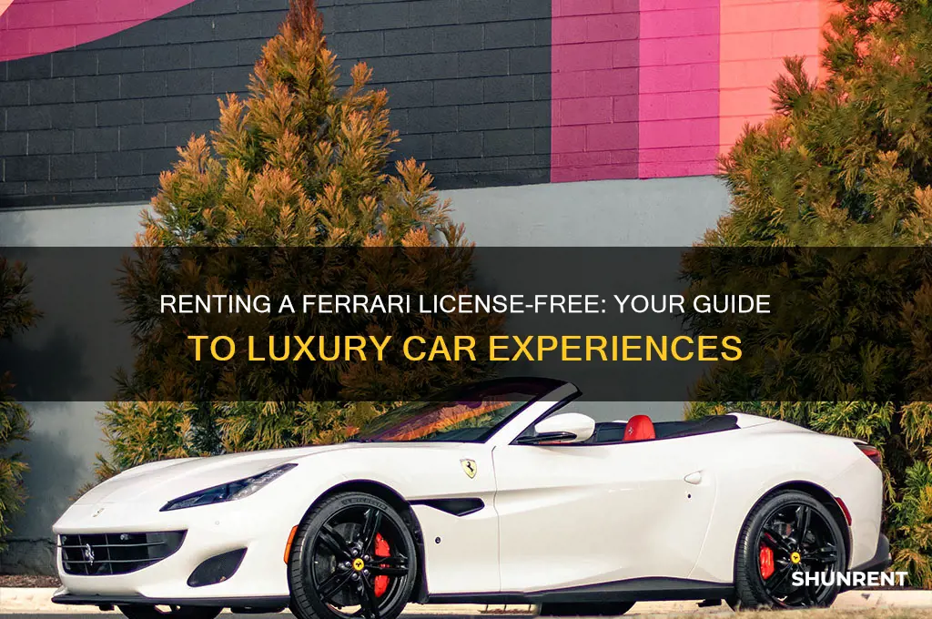 how to rent a ferrari without a driver