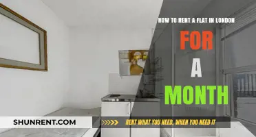 Renting a Flat in London: Your Month-Long Stay Simplified