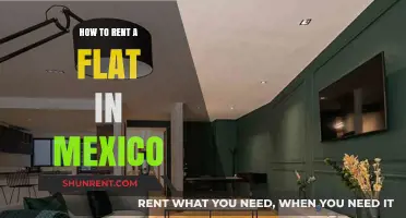 Renting a Flat in Mexico: A Comprehensive Guide for Expats
