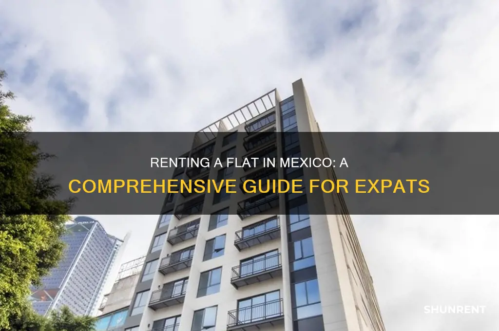how to rent a flat in mexico