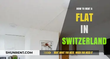 Renting in Switzerland: A Comprehensive Guide to Finding Your Perfect Flat