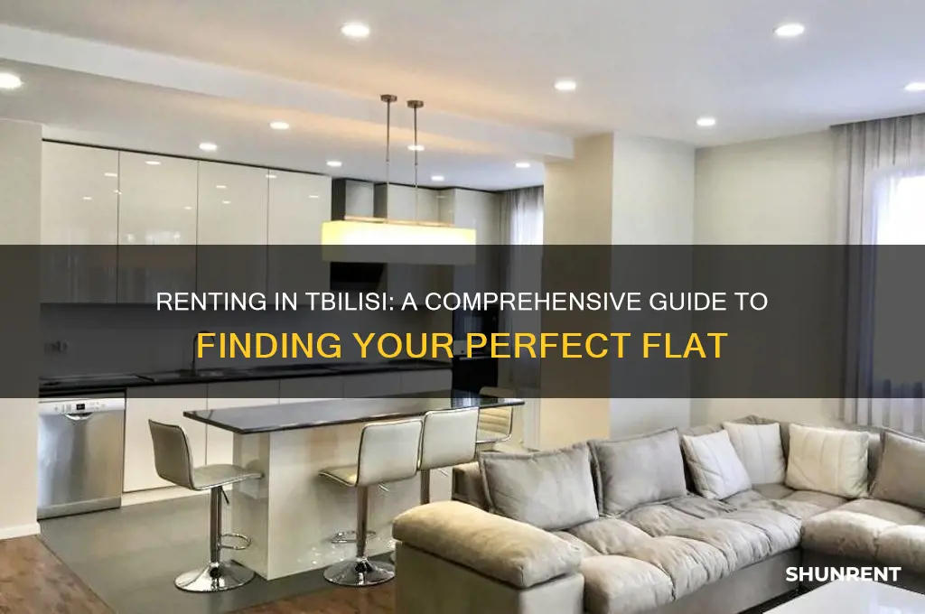 how to rent a flat in tbilisi