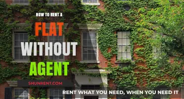 Renting Your Dream Flat: A Step-by-Step Guide Without Agents
