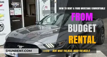 Rent a Ford Mustang Convertible: Budget Rental Guide