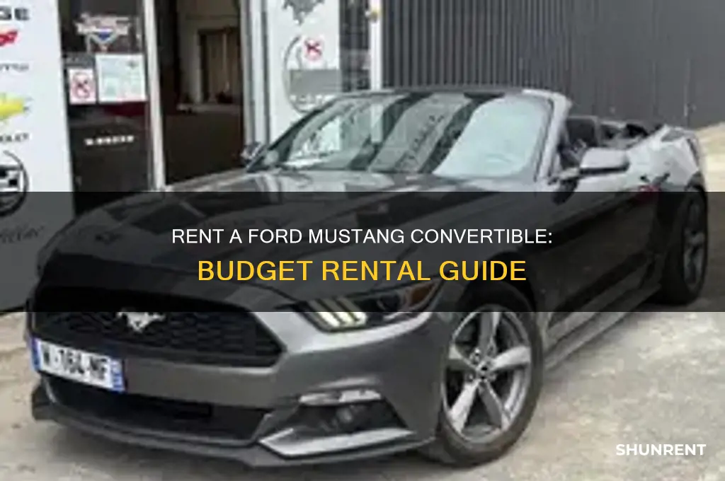 how to rent a ford mustang convertable from budget rental