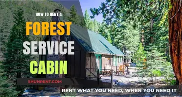 Renting a Forest Service Cabin: Your Ultimate Guide to a Rustic Retreat