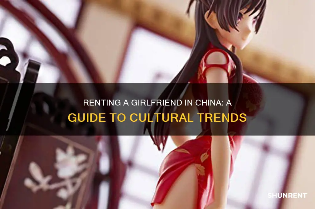 how to rent a girlfriend in china
