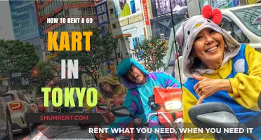 Renting Go Karts in Tokyo: A Beginner's Guide to Speed