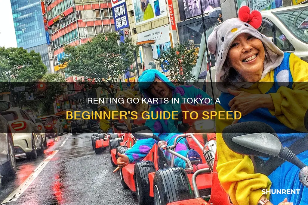 how to rent a go kart in tokyo