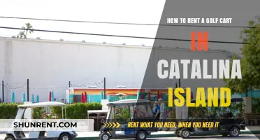 Renting a Golf Cart in Catalina Island: Your Ultimate Guide