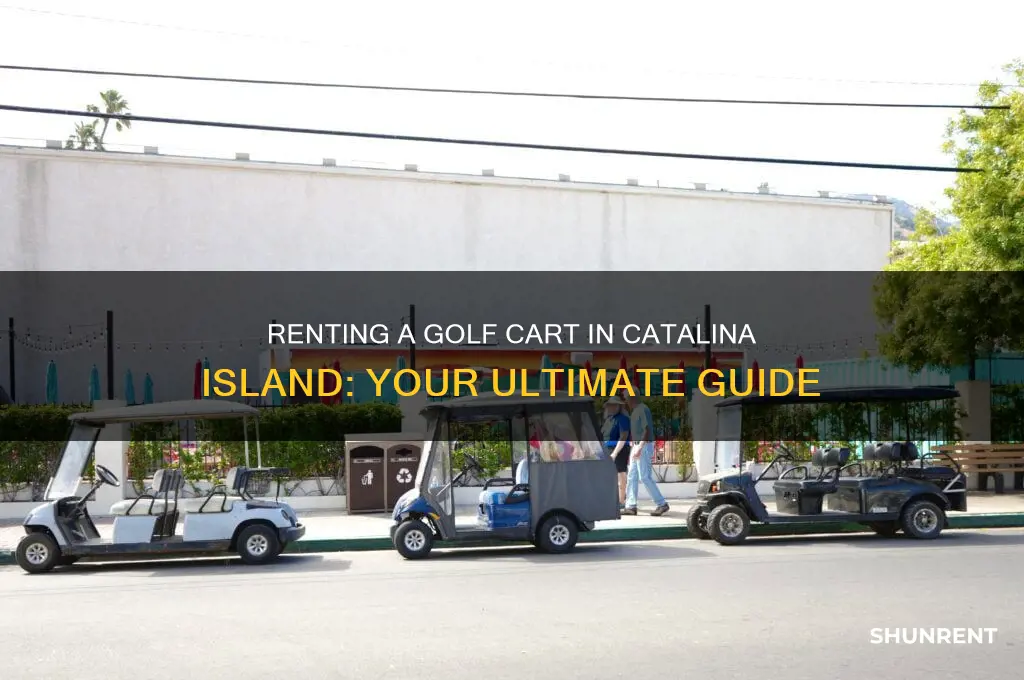 how to rent a golf cart in catalina island