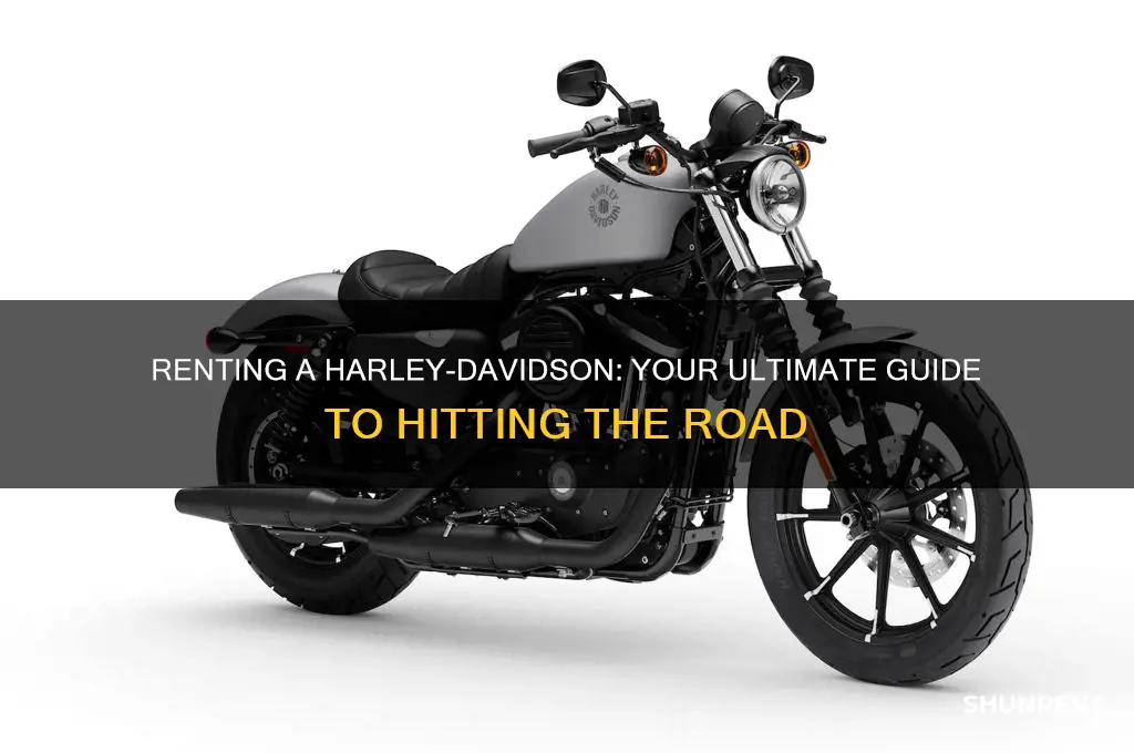 how to rent a harley davidson motorcycle