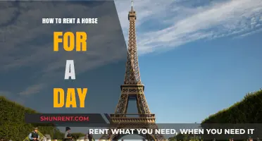 Renting a Horse for a Day: Your Ultimate Guide