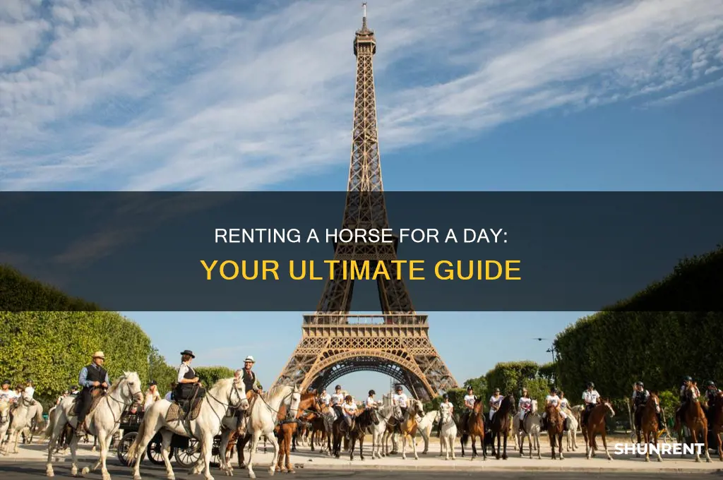 how to rent a horse for a day