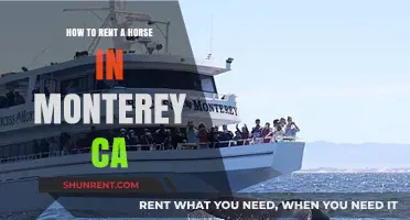 Renting a Horse in Monterey, CA: Your Ultimate Guide